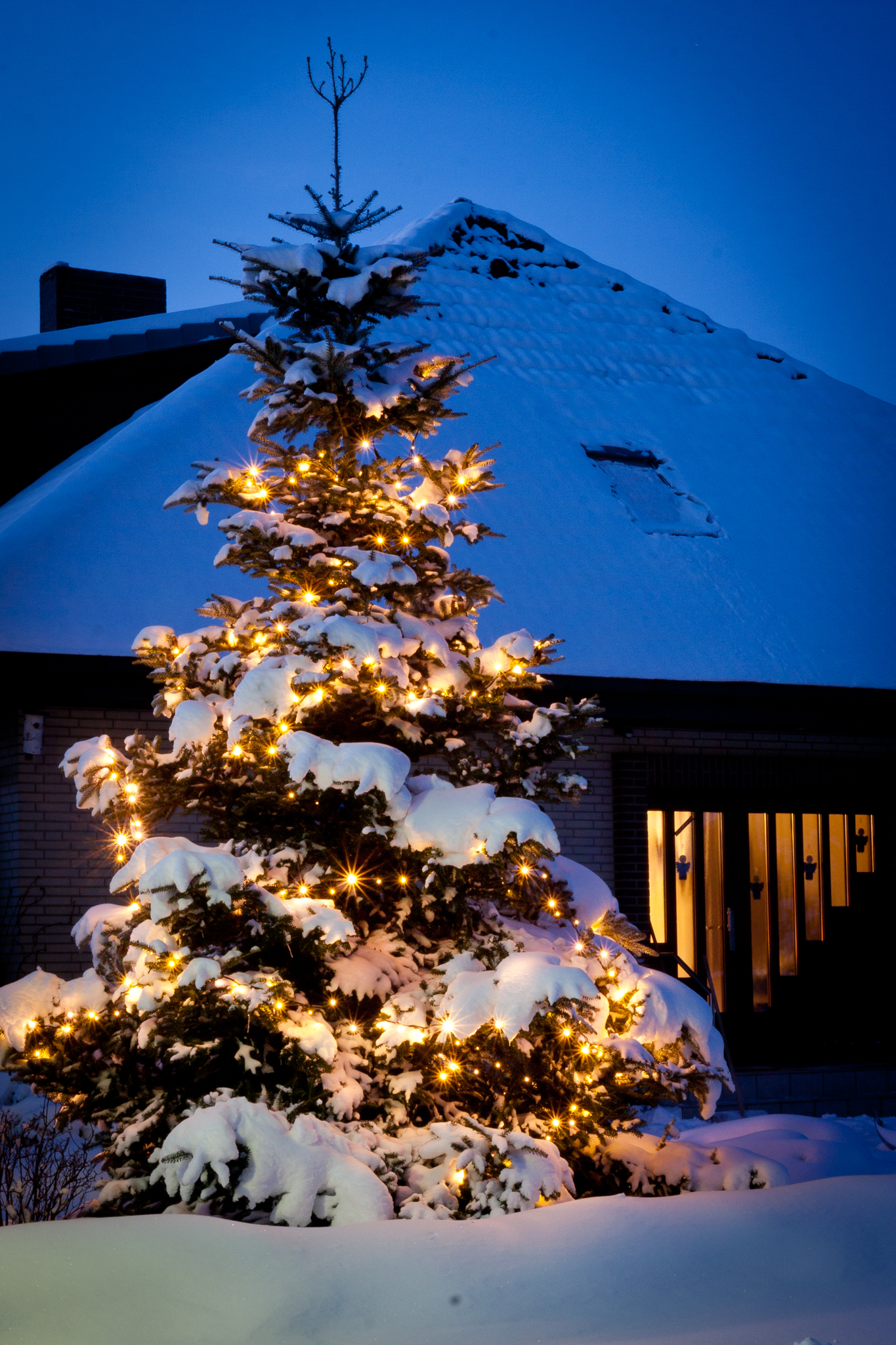 Kerzen am Baum