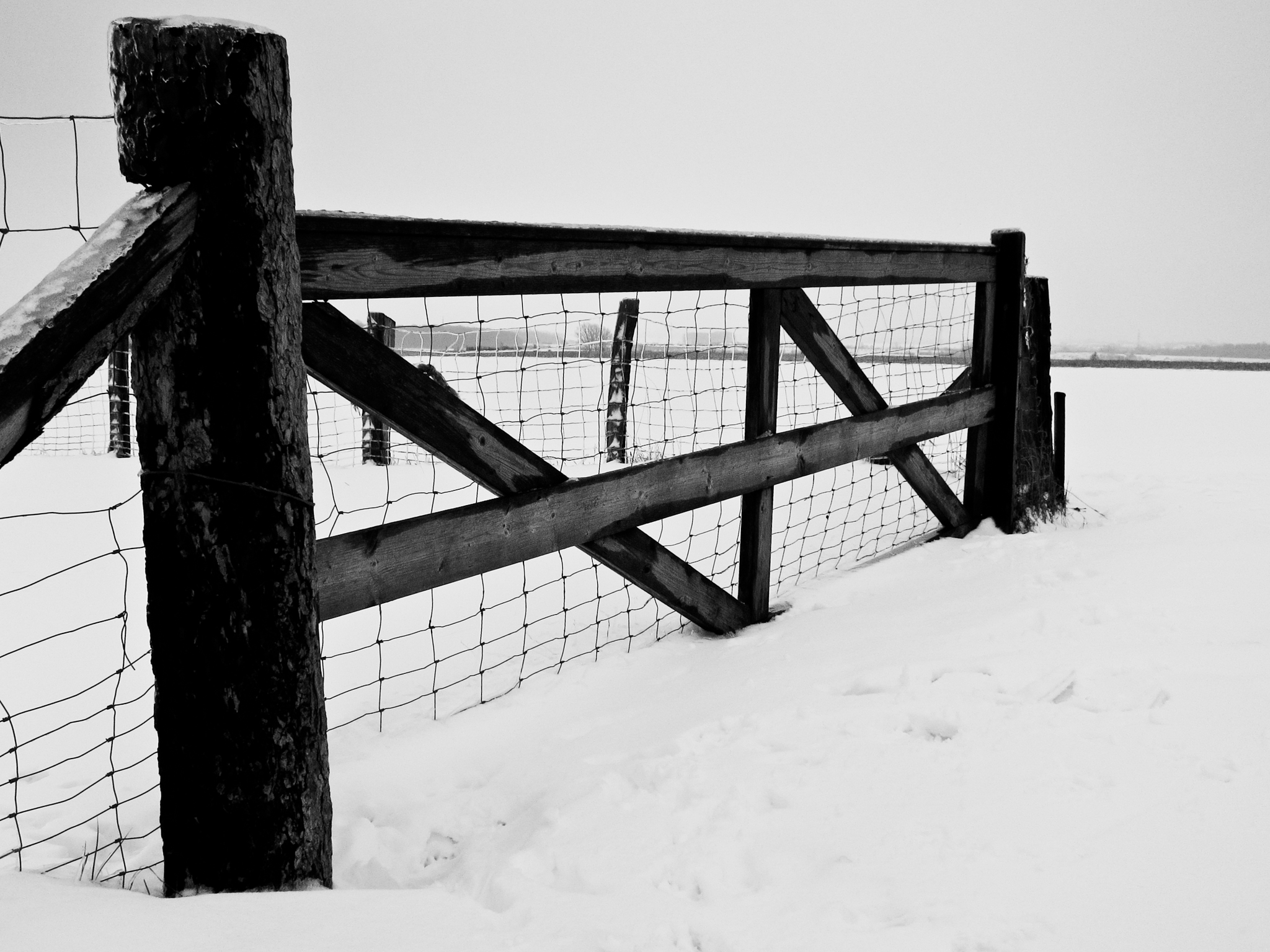 Gatter am Kronsberg