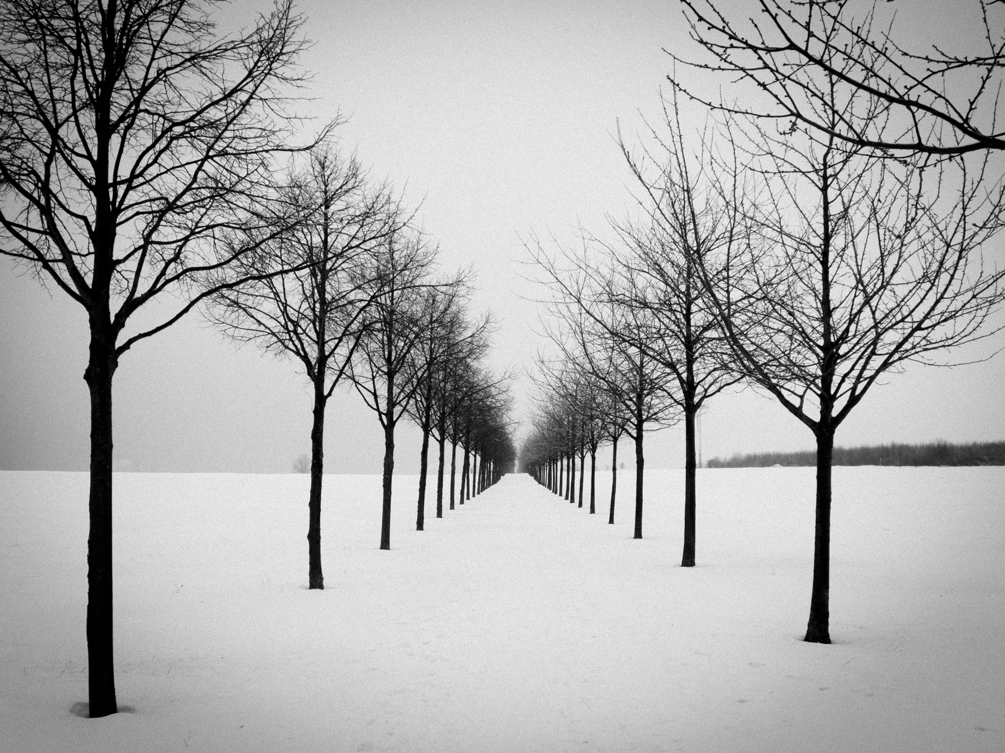 Symmetrie-Allee