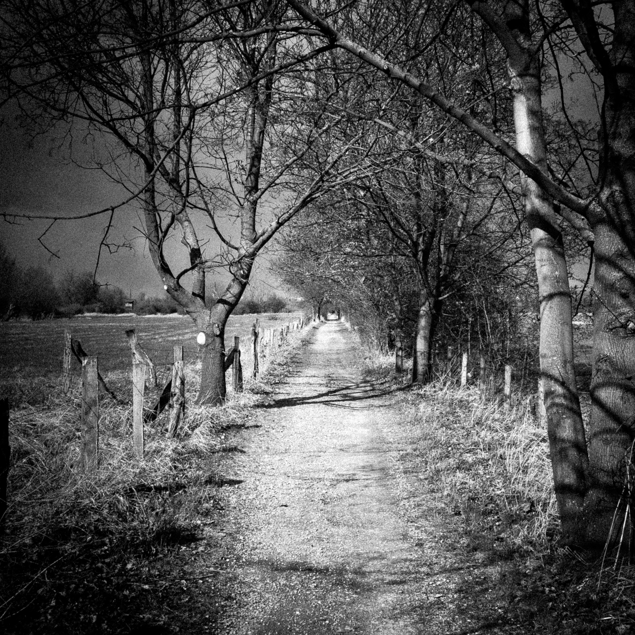 Weiter Weg