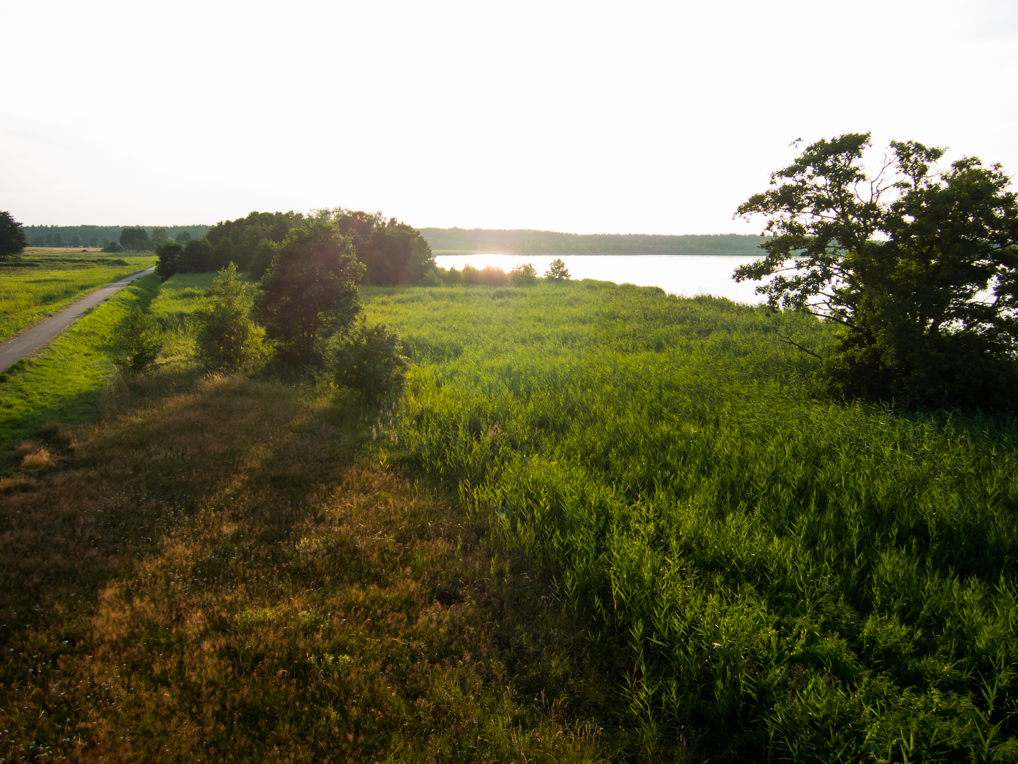 Neuwarper See